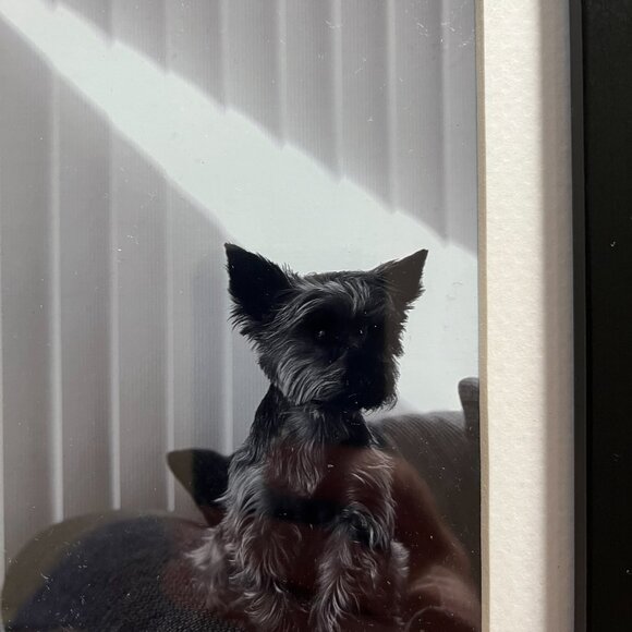 One of a kind Yorkie Home Accent - Picture 2 of 3